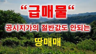 [1185][급매물][반값매물][땅매매] 공시지가의 절반값도 안되는 땅입니다.