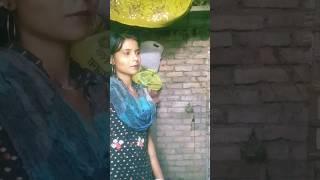 Lage Saiy short videoan se door