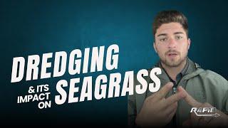 Dredging and its Impact on Seagrass | Rapid Permits