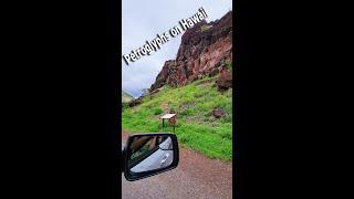 How to find Olowalu Petroglyphs 300 years old on Maui Hawaii