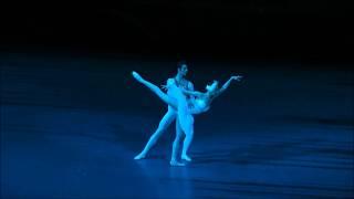 Swan Lake(1) Yulia Stepanova, Jacopo Tissi