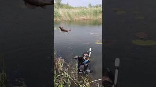Закинул, подводная охота #подводнаяохота #рыбалка #рыбалкавесной #река #охота ️