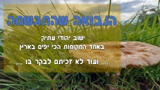 הנבואה שהתגשמה - ישוב יהודי עתיק באחד המקומות היפים ביותר בארץ - תל חייא. נמצא בישוב איתמר בשומרון