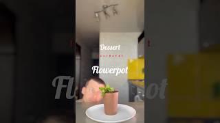 Как сделать десерт без выпечки? горшок с цветком (Dessert flowerpot) 🪴 #chocolate #howtomake