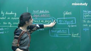 JEE Chemistry | Introduction to Solution | Theory | In English | Misostudy