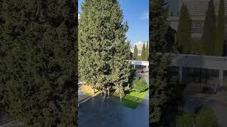 Купить апартаменты в Сочи с доходом 1 500 000 рублей в год 89279664498 Эдуард
