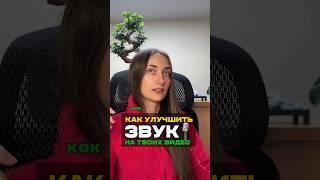 Как почистить звук на видео