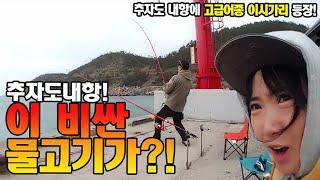 추자도 내항! 이런 비싼 물고기가? 이시가리 [캠낚세끼] / 추자도 낚시n캠핑 / caravan / camping car / Fishing / 캠핑카