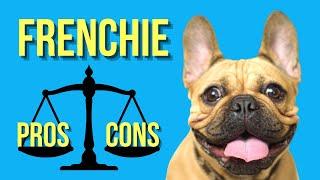 French Bulldog Pros and Cons ( Is It Worth The Money?? )