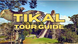 Tikal: Travel Like a Local | 2024