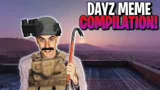 DayZ: Random Funny Memes Compilation