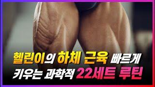 헬스 초보자의 '근육량'을 폭발적으로 늘려주는 하체 운동 루틴