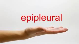 How to Pronounce epipleural - American English