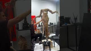 Магия ночи