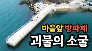 조용하고 발판 편한 방파제에 미친 크기의 물고기