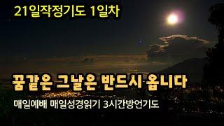1일째]반드시 꿈같은 그날은 옵니다ㅣ21일 작정기도ㅣ매일예배 ㅣ매일성경읽기ㅣ3시간방언기도 ㅣ레 3~5장ㅣ
