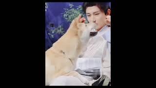 呆萌成毅在片场活泼好动！～#chengyi #成毅 #古装剧 #shorts