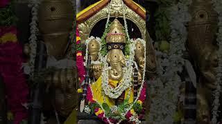 sankata hara chathudathi #devullubhakthichannel #vinyaka #ganapathisongs