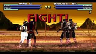 MORTAL KOMBAT PROJECT  |  Fight against "The Tremor twins"