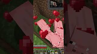 No Walls for the Secondary Village!  #minecraft