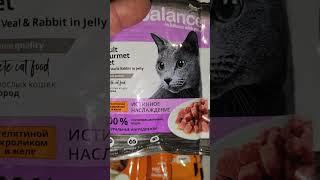 Вкусняшки для белой кошечки от подписчицы из Казахстана