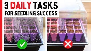 NEVER Skip These 3 Daily Tasks (When Starting Peppers)