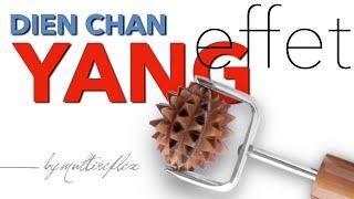 DIEN CHAN YANG effect [  ]