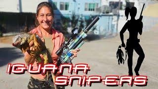 Shooting Iguanas All Around Town: Iguana Snipers