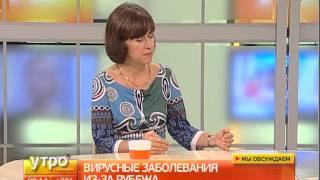 Лихорадка денге и ее последствия. Утро с Губернией. Gubernia TV