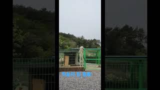 2023년 4월 23일