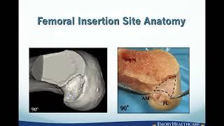 Emory MSK E-Lecture Series- Dr. John "X" Xerogeanes