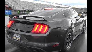 Evolution Performance Stang Off it Goes