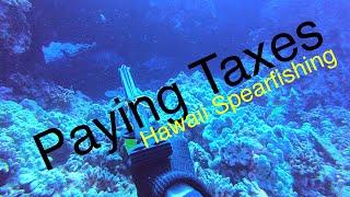 Paying Taxes | Hawaii Spearfishing 2020