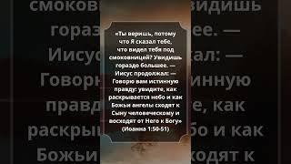 Иоанна 1:50-51 #Библия #Евангелие #СтихДня