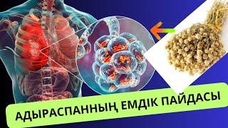 АДЫРАСПАННЫҢ сіз білмейтін емдік қасиеті.АДЫРАСПАН шөбінің пайдасы.