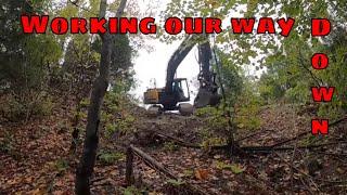 Clearing a steep slope, in an attempt to build a road, so we can build a crazy pond!