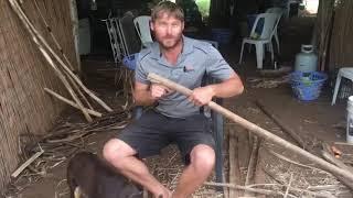 How to peel multiple strips of innerbark for cordage.