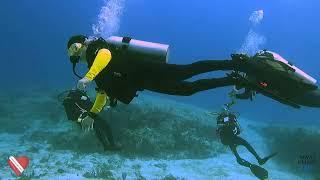 Dr. Bennett Shapiro | Do What You Can Do | Scuba Diving