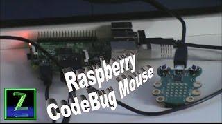 Raspberry CodeBug Mouse (english & deutsch)