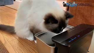 PETLIBRO Glacier Pet Water Fountain: The Best Pet Water Fountain on the Market?