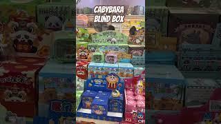 #capybara blind box #bara #capy #2025