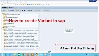 How to create Variant in sap