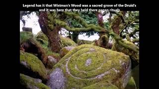 Exploring~ Mystical Ancient Wistman's Wood ~Dartmoor ~Devon