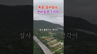 복을 쓸어담는 언어습관 5가지 #인생명언 #지혜 #좋은글 #인생한줄