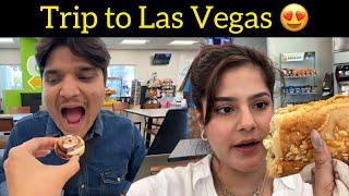 Trip to Las Vegas  | the mridul | pragati | Brosis | Family vlogs