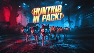 20 Animals That Hunt in Packs – Deadly Teamwork in Action!