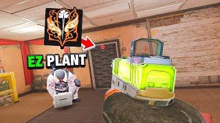 RAUORA Is Going To Be INSANE (Operation Prep Phase)