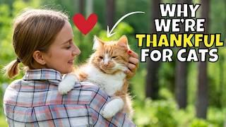 10 Reasons to be Thankful for Cats (Scientifically Backed!)