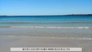 제주도 게스트하우스 스텝 제주도한달살기 우도 파티없는게스트하우스