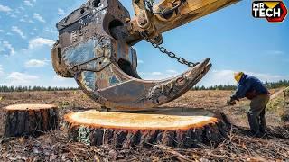 Extreme Dangerous Fastest Big Chainsaw Cutting Tree Machines | Biggest Heavy Equipment Machines #6